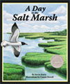 A Day In The Salt Marsh