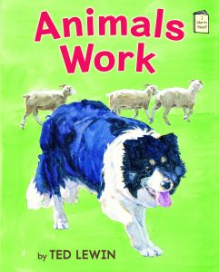 Animals Work