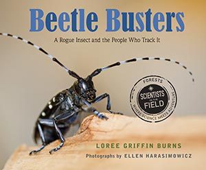Beetle Busters