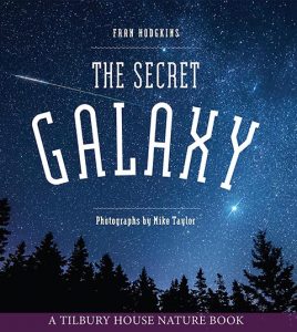 The Secret Galaxy