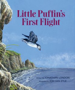Little Puffin’s First Flight