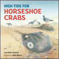 High Tide for Horseshoe Crabs