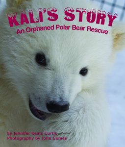 Kali’s Story: An Orphaned Polar Bear Rescue