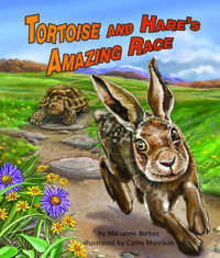 Tortoise and Hare’s Amazing Race