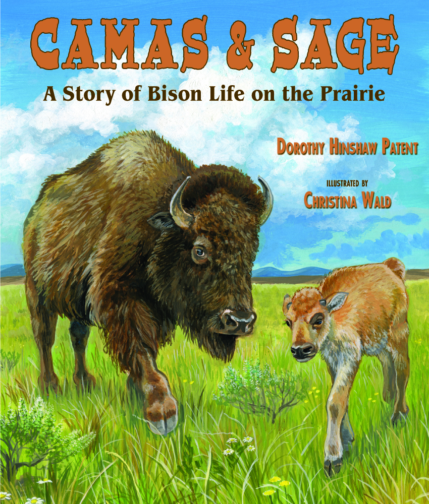 Camas & Sage: A Story of Bison Life on the Prairie