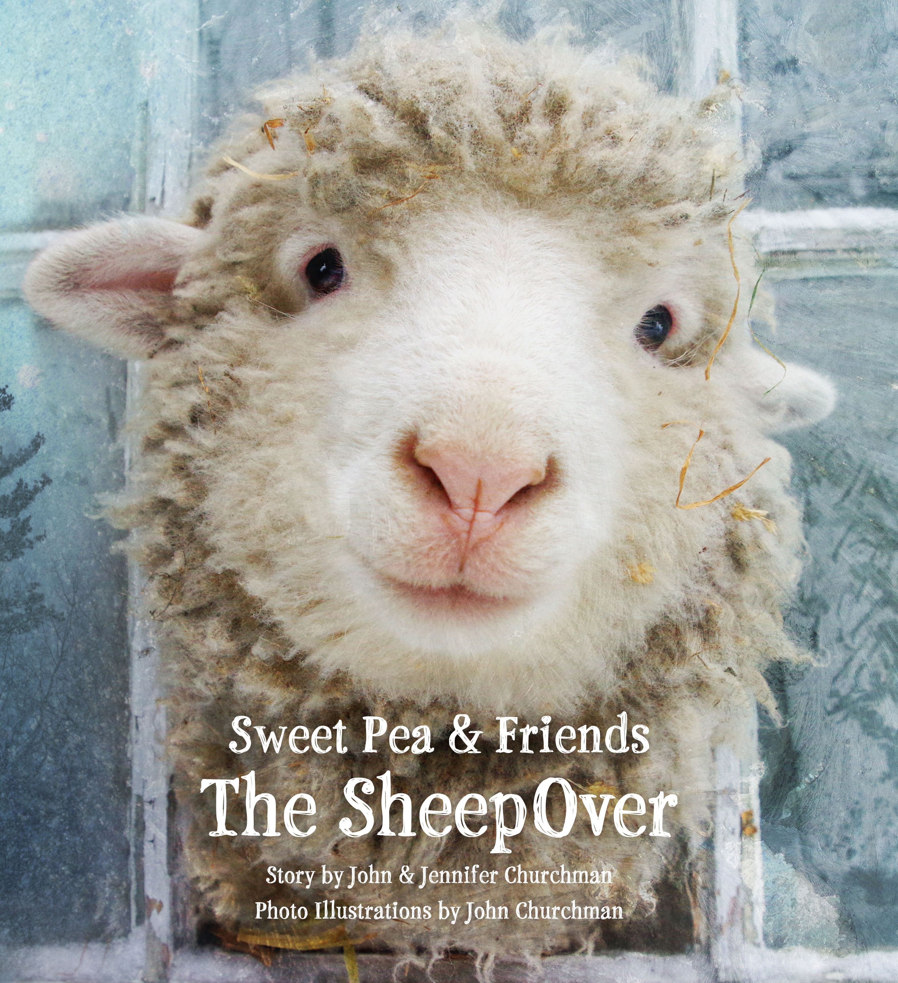 Sweet Pea and Friends: The SheepOver