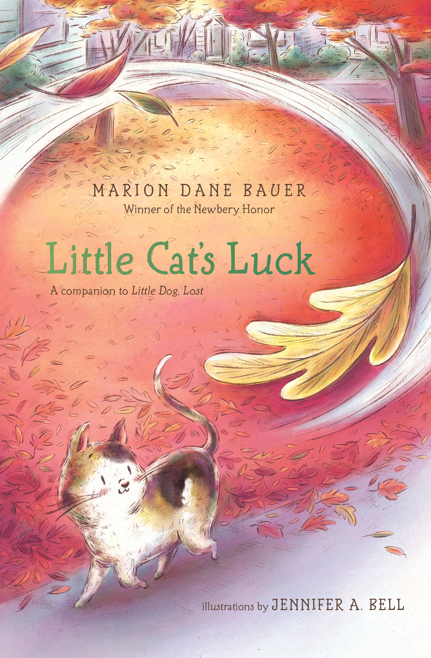 Little Cat’s Luck