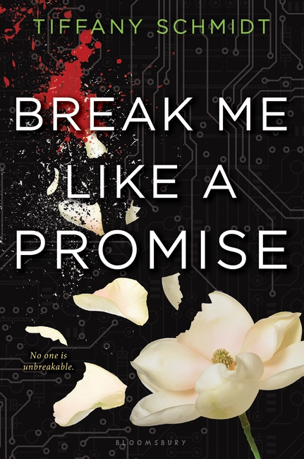 Break Me Like a Promise