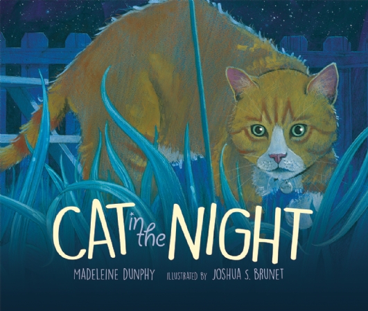 Cat in the Night