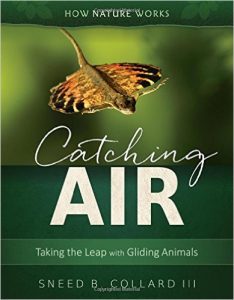 Catching Air: Taking the Leap With Gliding Animals