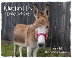 What Can I Do? A Donkey-Donk Story