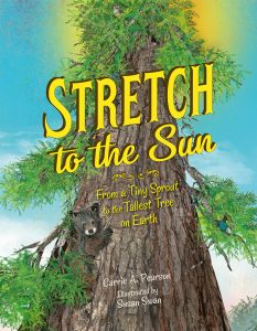 Stretch to the Sun: From a Tiny Sprout to the Tallest Tree on Earth