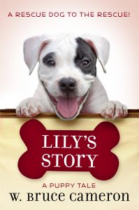 Lily’s Story