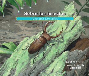 Sobre los insectos