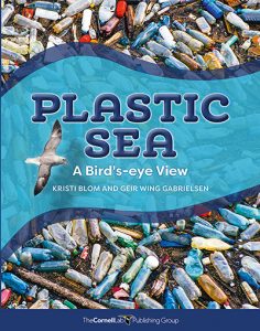 Plastic Sea: A Bird’s-eye View