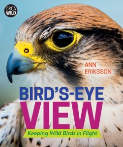 Bird’s-Eye View: Keeping Wild Birds in Flight