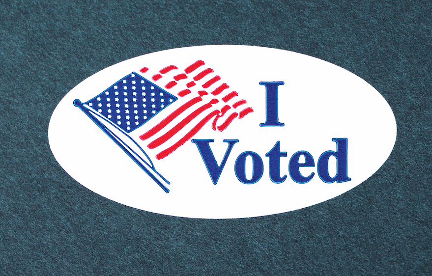 The Right to Vote – Children's Book Council