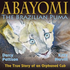 Abayomi, the Brazilian Puma