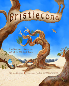 Bristlecone: The Secret Life of the World’s Oldest Tree