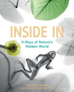 Inside In: X-Rays of Nature’s Hidden World