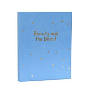 Beauty and the Beast Recordable Book