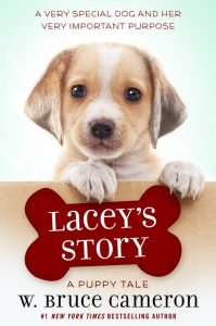 Lacey’s Story
