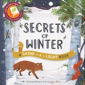 Secrets of Winter, A Shine-a-Light Book