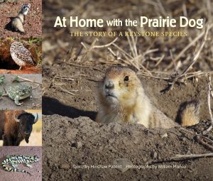 At Home with the Prairie Dog: The Story of a Keystone Species