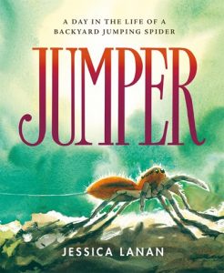 Jumper: A Day in the Life of a Backyard Jumping Spider