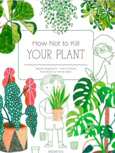 How Not To Kill Your Plant
