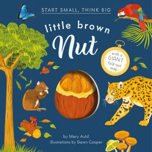 Start Small, Think Big: Little Brown Nut