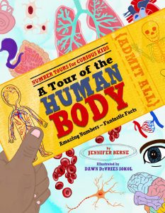 A Tour of the Human Body: Amazing Numbers—Fantastic Facts