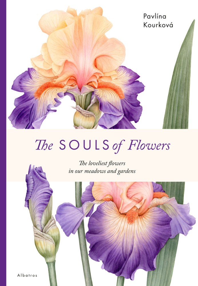 SoulsOfFlowers.jpeg