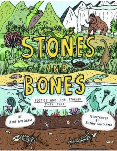 Stones and Bones: Fossils and the Stories they Tell